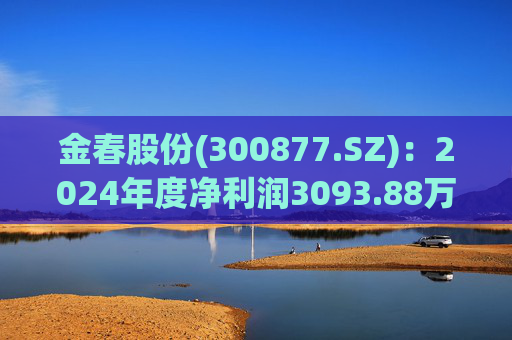 金春股份(300877.SZ)：2024年度净利润3093.88万元 拟10派1元