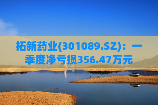 拓新药业(301089.SZ)：一季度净亏损356.47万元