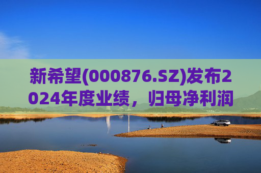 新希望(000876.SZ)发布2024年度业绩，归母净利润4.74亿元，同比增长90.05%  第1张