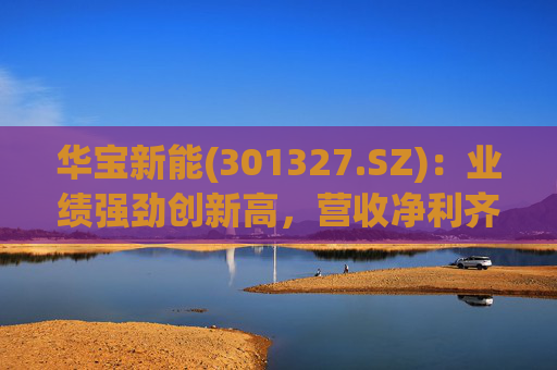 华宝新能(301327.SZ)：业绩强劲创新高，营收净利齐突破  第1张