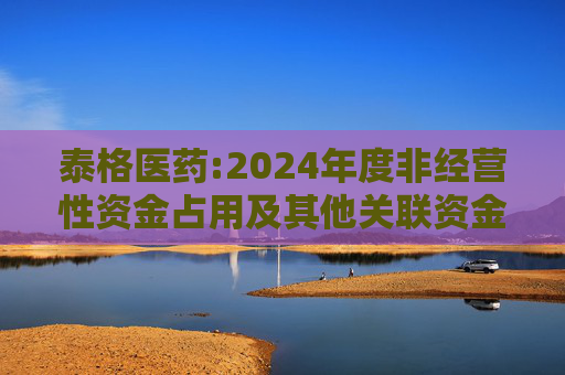 泰格医药:2024年度非经营性资金占用及其他关联资金往来情况的专项报告