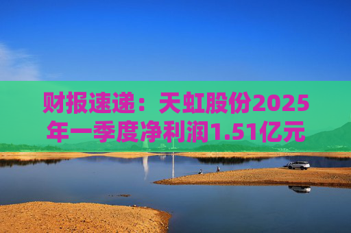 财报速递：天虹股份2025年一季度净利润1.51亿元