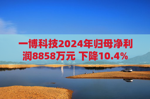 一博科技2024年归母净利润8858万元 下降10.4%