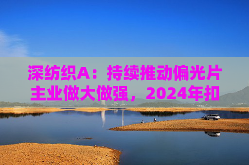 深纺织A：持续推动偏光片主业做大做强，2024年扣非归母净利润增长23.58%