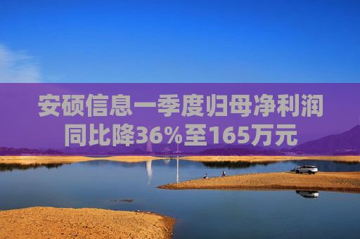 安硕信息一季度归母净利润同比降36%至165万元  第1张