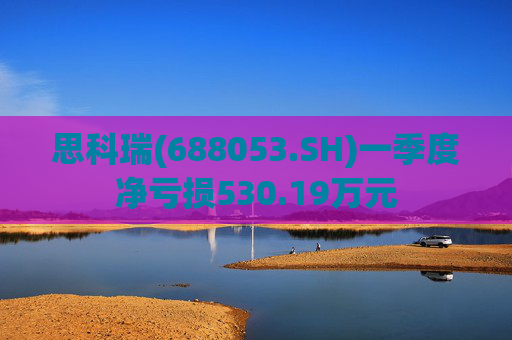 思科瑞(688053.SH)一季度净亏损530.19万元