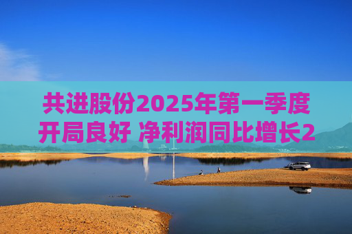 共进股份2025年第一季度开局良好 净利润同比增长267.63%