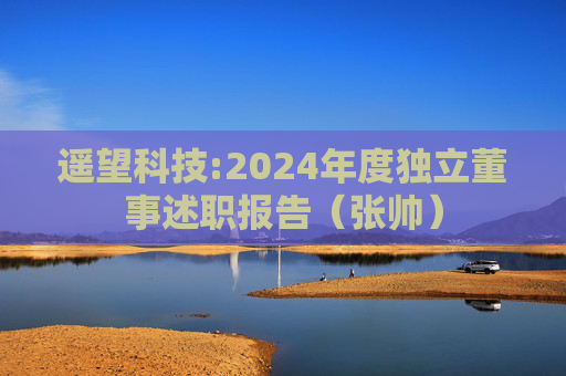 遥望科技:2024年度独立董事述职报告(张帅)