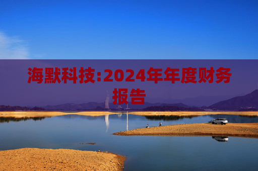 海默科技:2024年年度财务报告