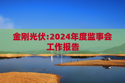 金刚光伏:2024年度监事会工作报告