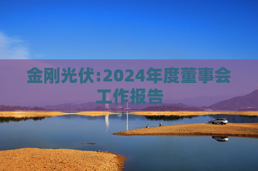 金刚光伏:2024年度董事会工作报告  第1张