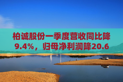 柏诚股份一季度营收同比降9.4%，归母净利润降20.6%