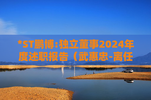 *ST鹏博:独立董事2024年度述职报告(武惠忠-离任)