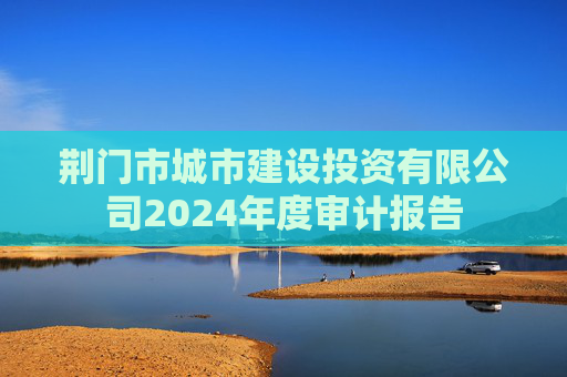 荆门市城市建设投资有限公司2024年度审计报告  第1张