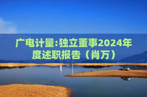 广电计量:独立董事2024年度述职报告（肖万）