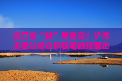 出口含“新”量更足!沪市主板公司以积极笔触描摹出中国经济大格局的稳健形制