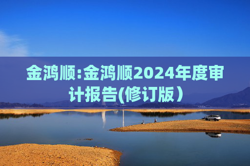 金鸿顺:金鸿顺2024年度审计报告(修订版）  第1张