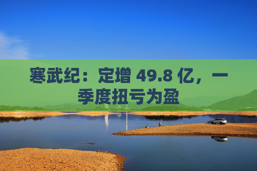 寒武纪:定增 49.8 亿,一季度扭亏为盈