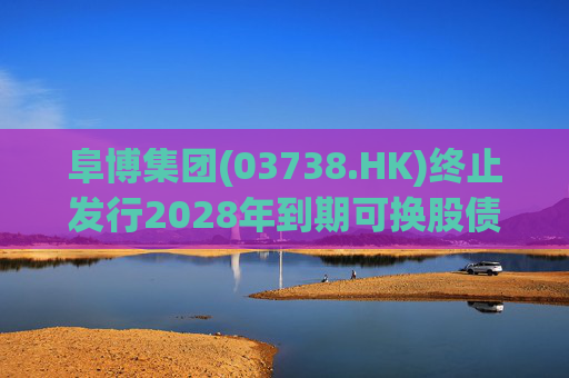 阜博集团(03738.HK)终止发行2028年到期可换股债券