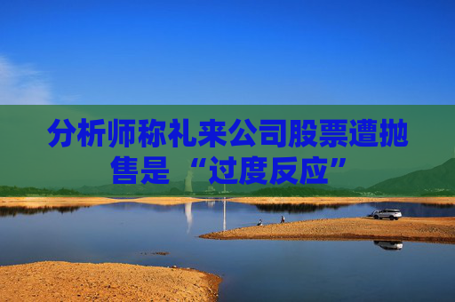 分析师称礼来公司股票遭抛售是 “过度反应”