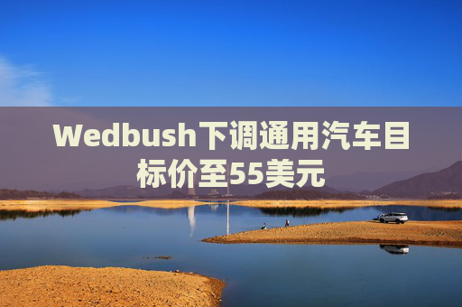 Wedbush下调通用汽车目标价至55美元