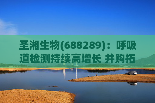 圣湘生物(688289):呼吸道检测持续高增长 并购拓展成长边界 第1张 圣湘生物(688289):呼吸道检测持续高增长 并购拓展成长边界 第1张