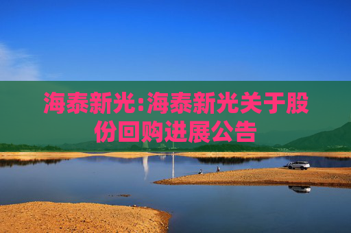 海泰新光:海泰新光关于股份回购进展公告