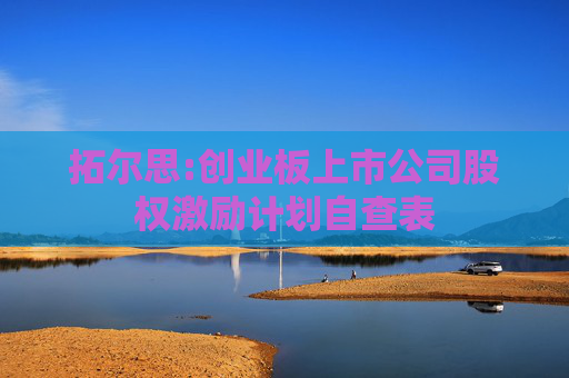 拓尔思:创业板上市公司股权激励计划自查表
