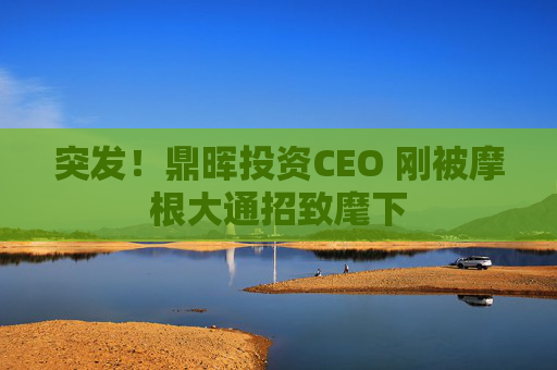 突发！鼎晖投资CEO 刚被摩根大通招致麾下