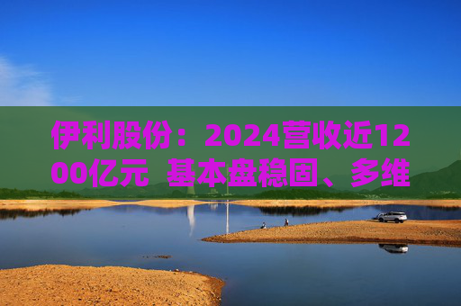 伊利股份：2024营收近1200亿元  基本盘稳固、多维度全面进阶
