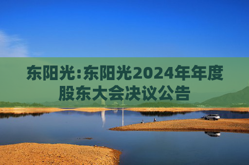 东阳光:东阳光2024年年度股东大会决议公告  第1张