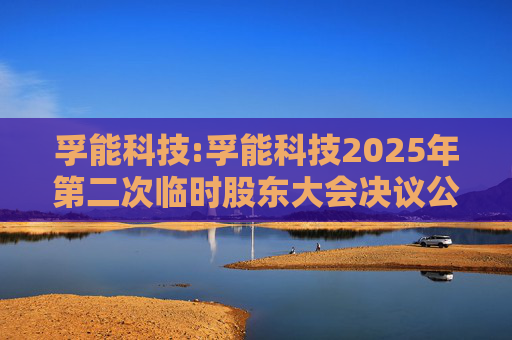 孚能科技:孚能科技2025年第二次临时股东大会决议公告