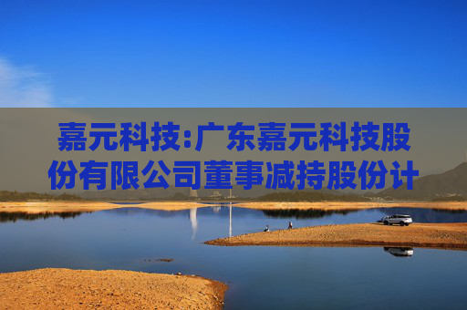 嘉元科技:广东嘉元科技股份有限公司董事减持股份计划公告  第1张