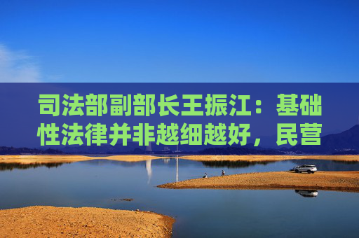 司法部副部长王振江：基础性法律并非越细越好，民营经济促进法为未来实践发展留有空间  第1张