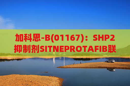 加科思-B(01167):SHP2抑制剂SITNEPROTAFIB联用研究数据发表于学术期刊