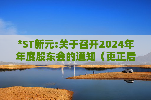 *ST新元:关于召开2024年年度股东会的通知(更正后)