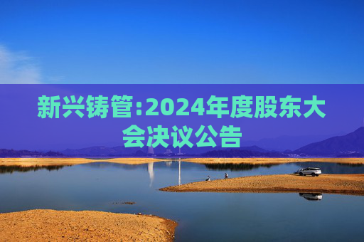 新兴铸管:2024年度股东大会决议公告