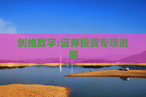 创维数字:证券投资专项说明