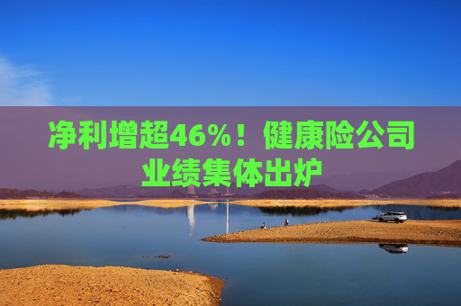 净利增超46%！健康险公司业绩集体出炉