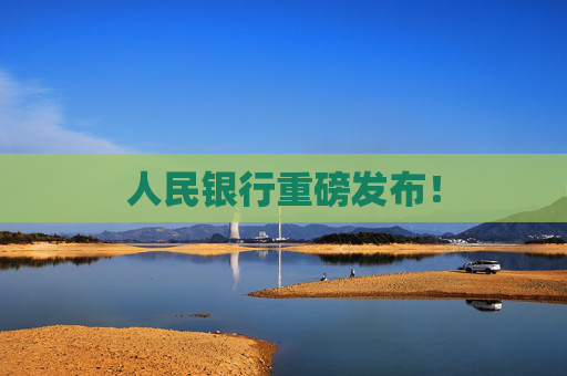 人民银行重磅发布! 第1张 人民银行重磅发布! 第1张