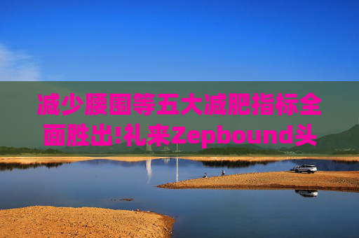 减少腰围等五大减肥指标全面胜出!礼来Zepbound头对头试验碾压诺和诺德(NVO.US)Wegovy  第1张