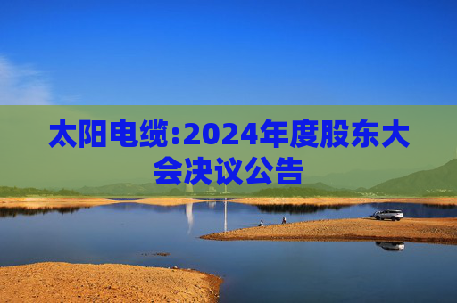 太阳电缆:2024年度股东大会决议公告  第1张