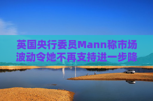 英国央行委员Mann称市场波动令她不再支持进一步降息  第1张