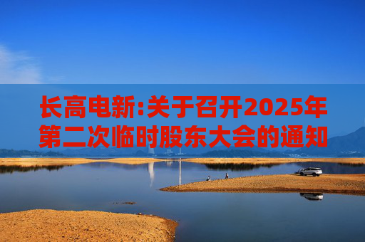 长高电新:关于召开2025年第二次临时股东大会的通知  第1张
