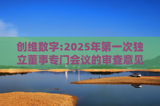 创维数字:2025年第一次独立董事专门会议的审查意见