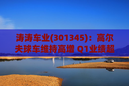 涛涛车业(301345)：高尔夫球车维持高增 Q1业绩超预期  第1张