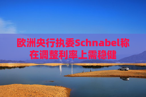 欧洲央行执委Schnabel称在调整利率上需稳健