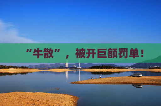 “牛散”,被开巨额罚单!