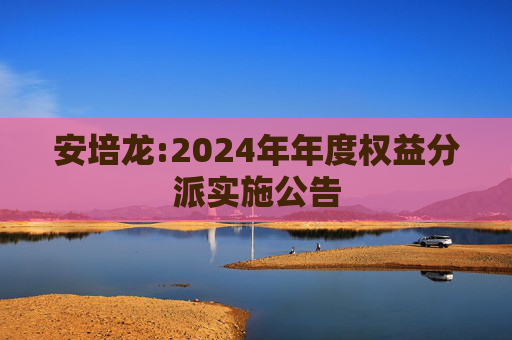 安培龙:2024年年度权益分派实施公告