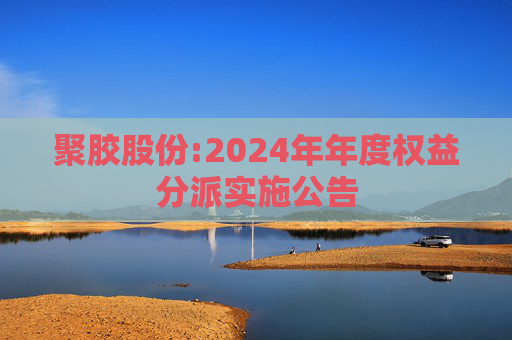 聚胶股份:2024年年度权益分派实施公告  第1张